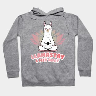 Llamastay 6 feet away Hoodie